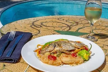 Hospitality Expert Zeppelin - Tour Pool Bar *