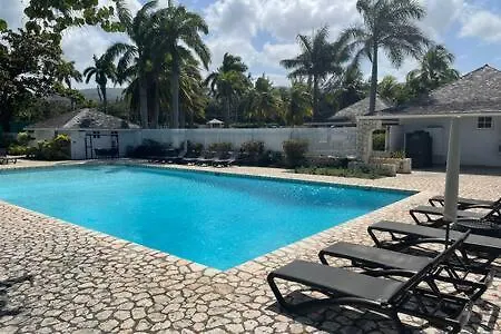 Inn Hospitality Expert Zeppelin - Tour Pool Bar