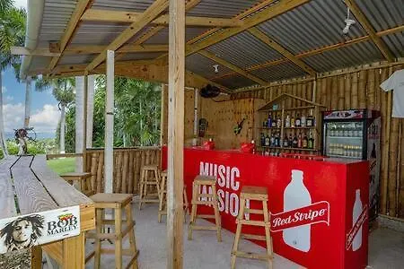 Hospitality Expert Zeppelin - Tour Pool Bar Inn Montego Bay