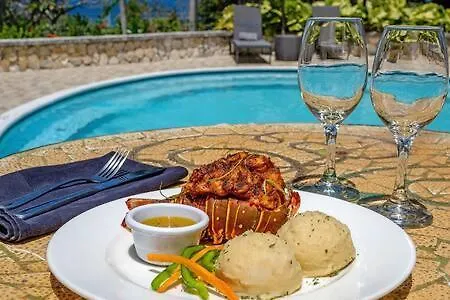 Hospitality Expert Zeppelin - Tour Pool Bar Inn Montego Bay