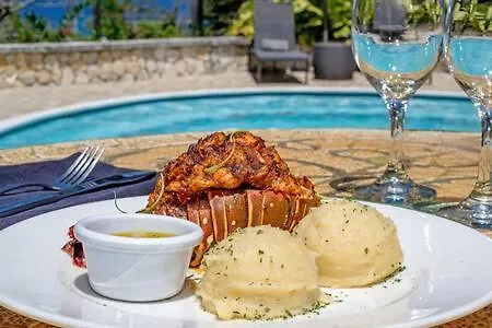 Hospitality Expert Zeppelin - Tour Pool Bar * Montego Bay